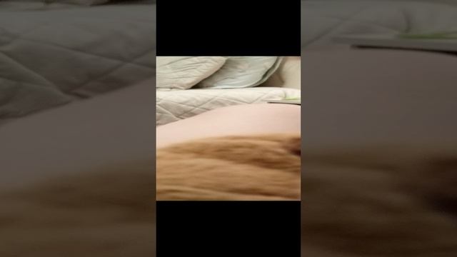 ухаживания за миланой