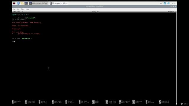 37 - Python database queries