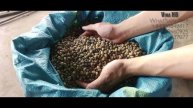 Cà phê Việt Nam - вьетнамский кофе