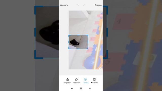 Screenrecorder-2025-01-17-11-03-20-608.mp4