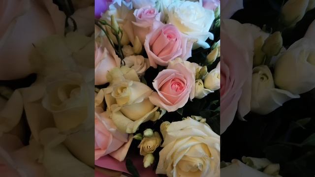 17.01.2025. Красота роз с красивой музыкой. Видео Баталовой Елены .