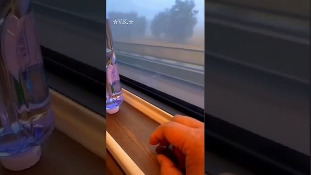 Россия и Китай