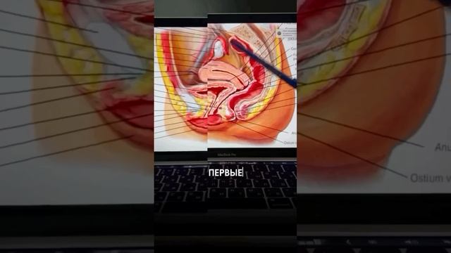 Почему происходит опущение матки?