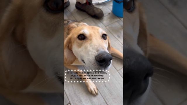 Друзья на всю свою жизнь