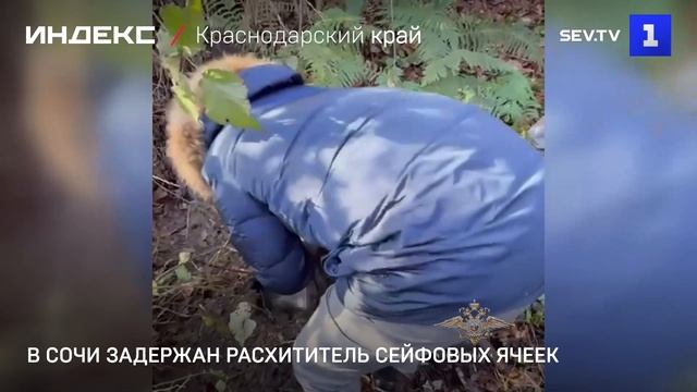 В Сочи задержан расхититель сейфовых ячеек