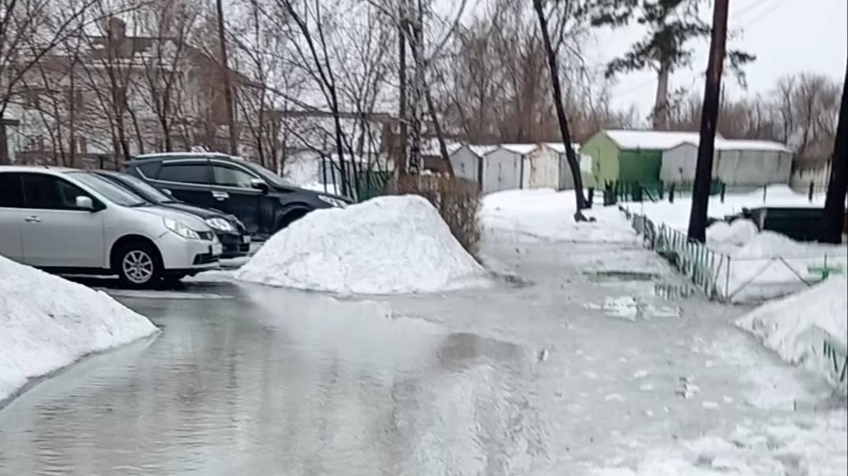 Оттепель. Февраль 2024г.