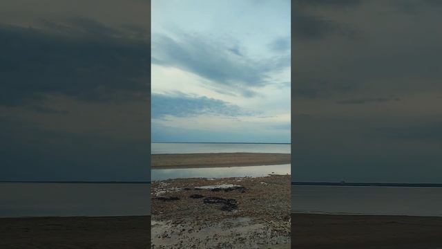 Сестрорецк