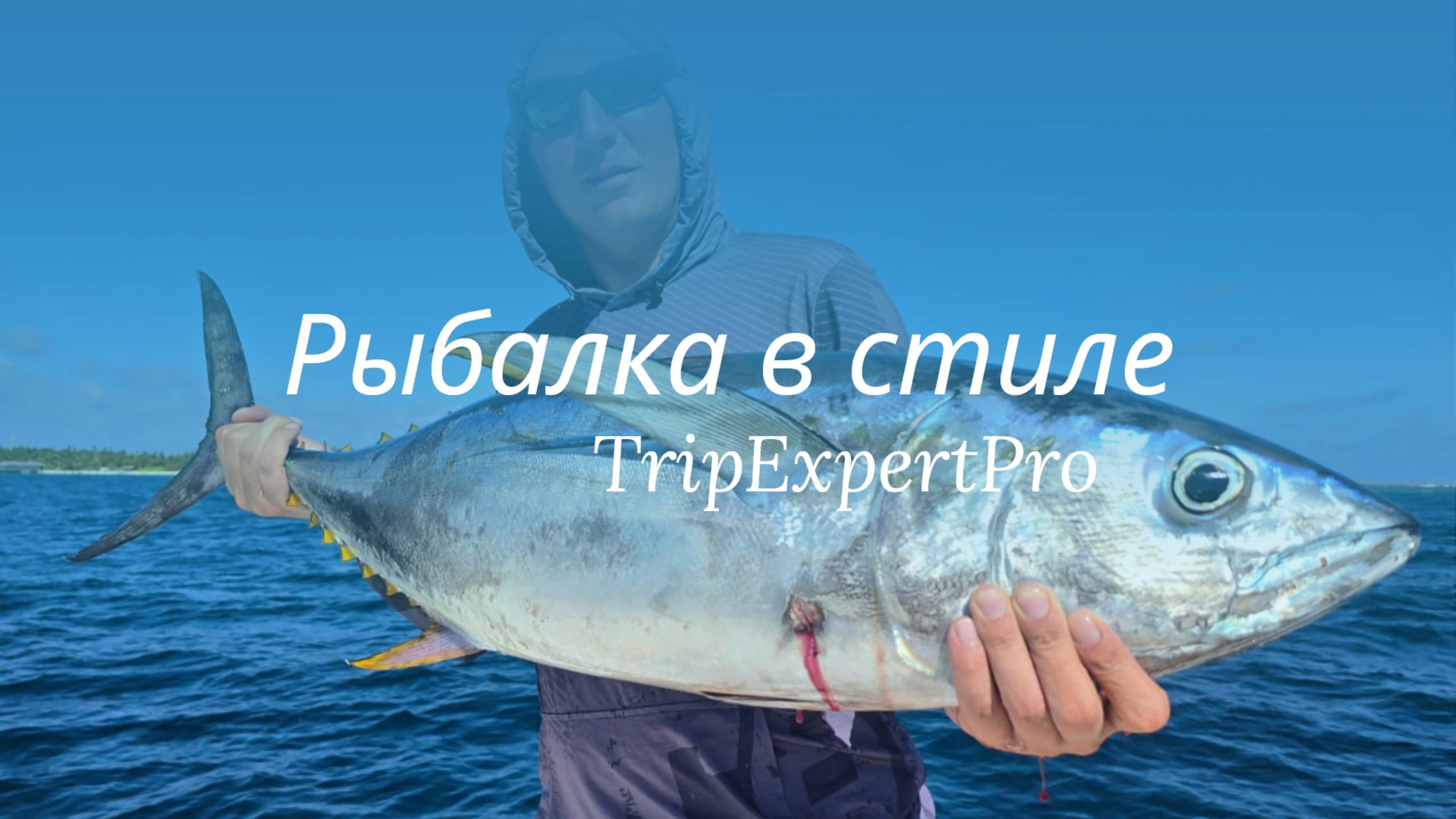 Рыбалка на Мальдивах в стиле "TripExpertPro"