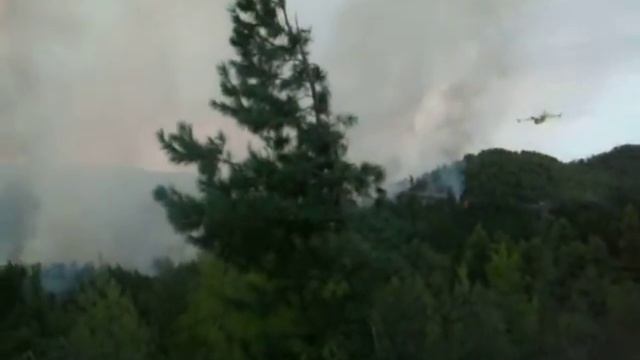 POZAR NA SVETOJ GORI