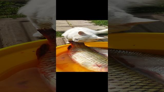 Я кайфую...
