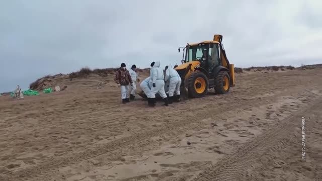 Ярославцы помогают очистить побережье Черного моря от мазута