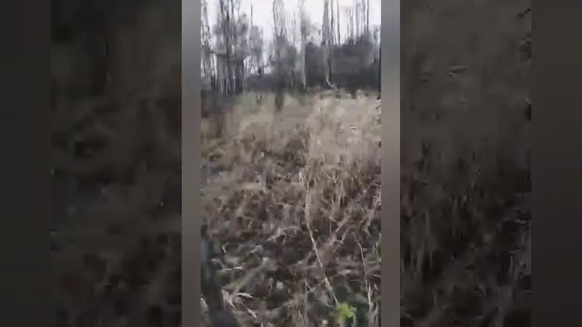 Была деревня Васильевка.