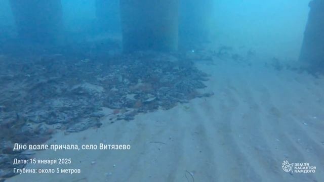 Вот так теперь выглядит дно Чёрного моря после разлива мазута с танкеров3