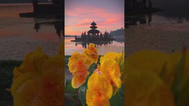 video_2024-08-18_21-25-30