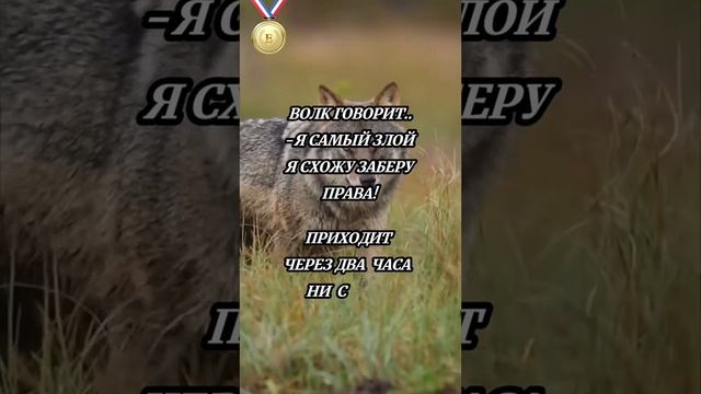 юмор ахаха приколы