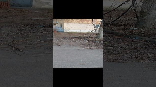 16.02.2024