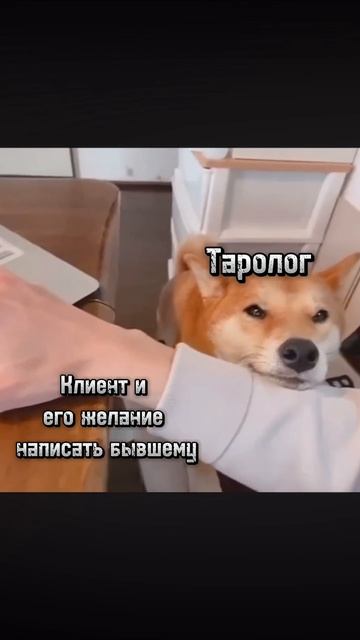 Больше интересного ☝🏻