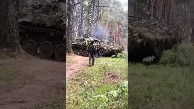 Эхо войны
