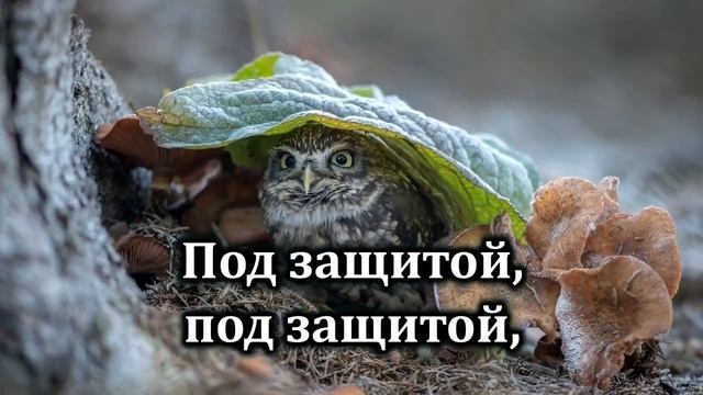104. Буду жить под защитой Твоих крыл.