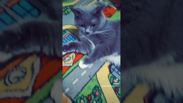 1000016159.mp4