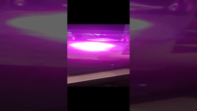 1000019994.mp4