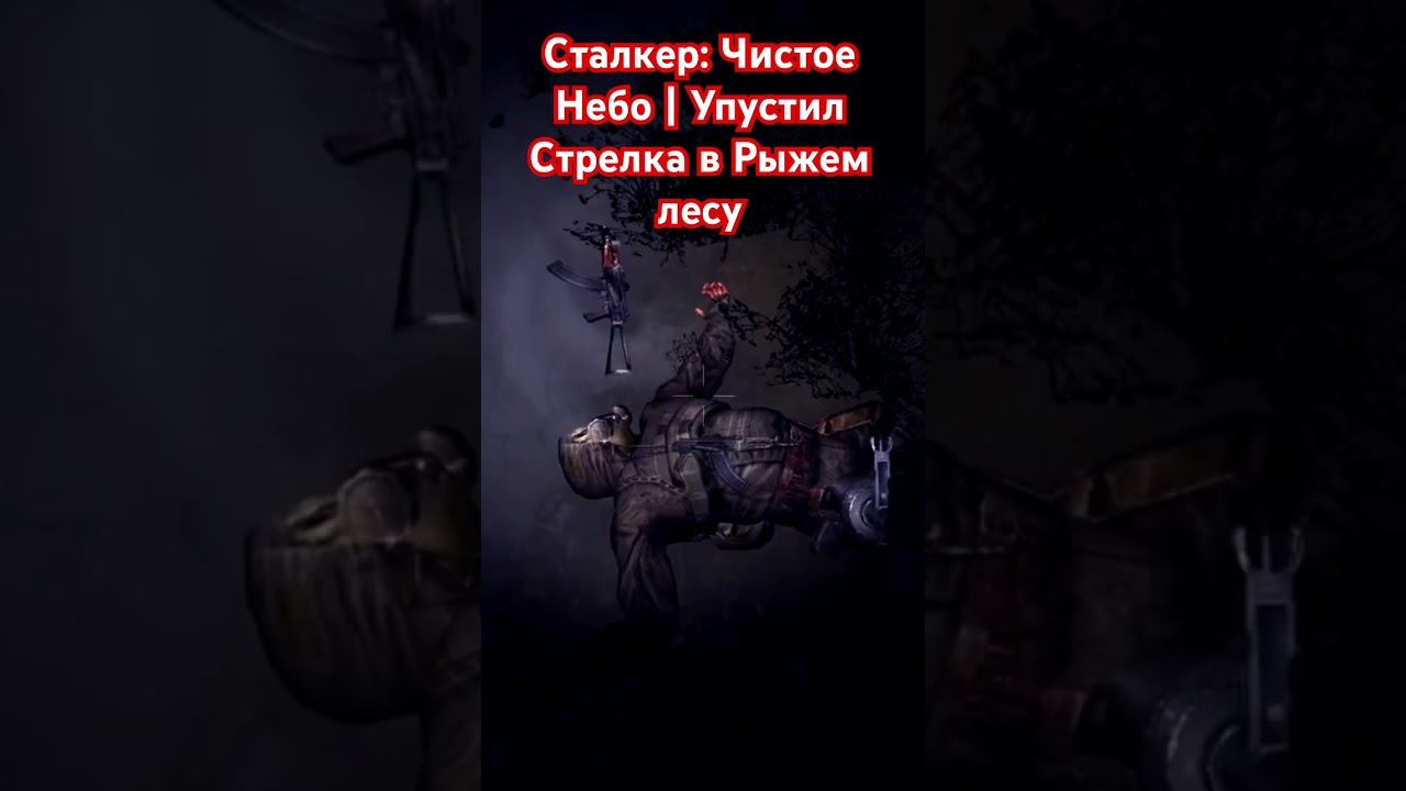 Сталкер: Чистое Небо | Упустил Стрелка #сталкер #stalker #чернобыль #припять #chernobyl
