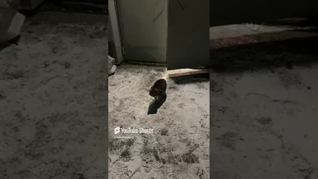3 ноября 2024 г..mp4