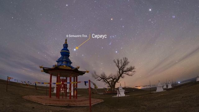 Одинокий тополь в Калмыкии - памятник природы республиканского значения.