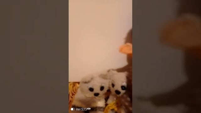 два кота и кукла