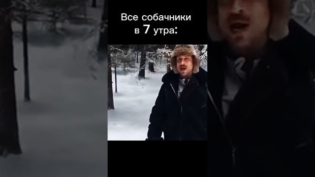 Есть тут собачники)???😉