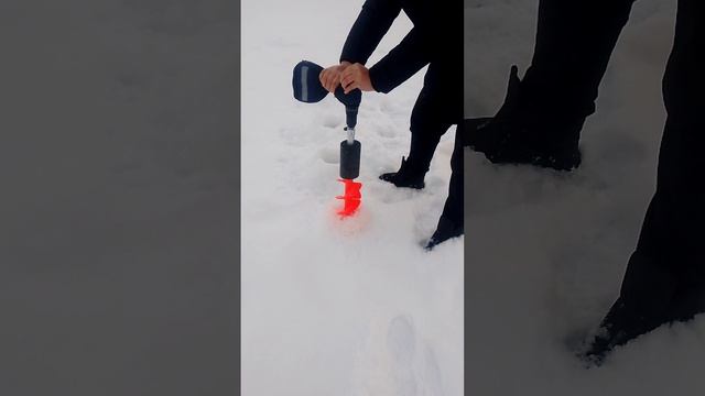 Хабаровский шнек с Авито