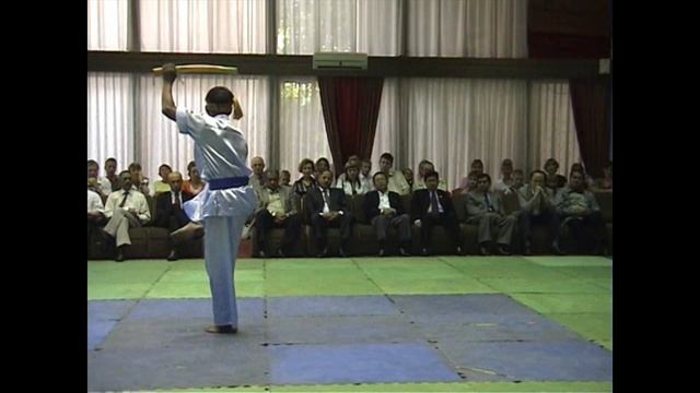 ШАН ГИ. Банши. Архив, чемпионат 2005 года и выступления в посольстве России в Мьянме в 2009 году