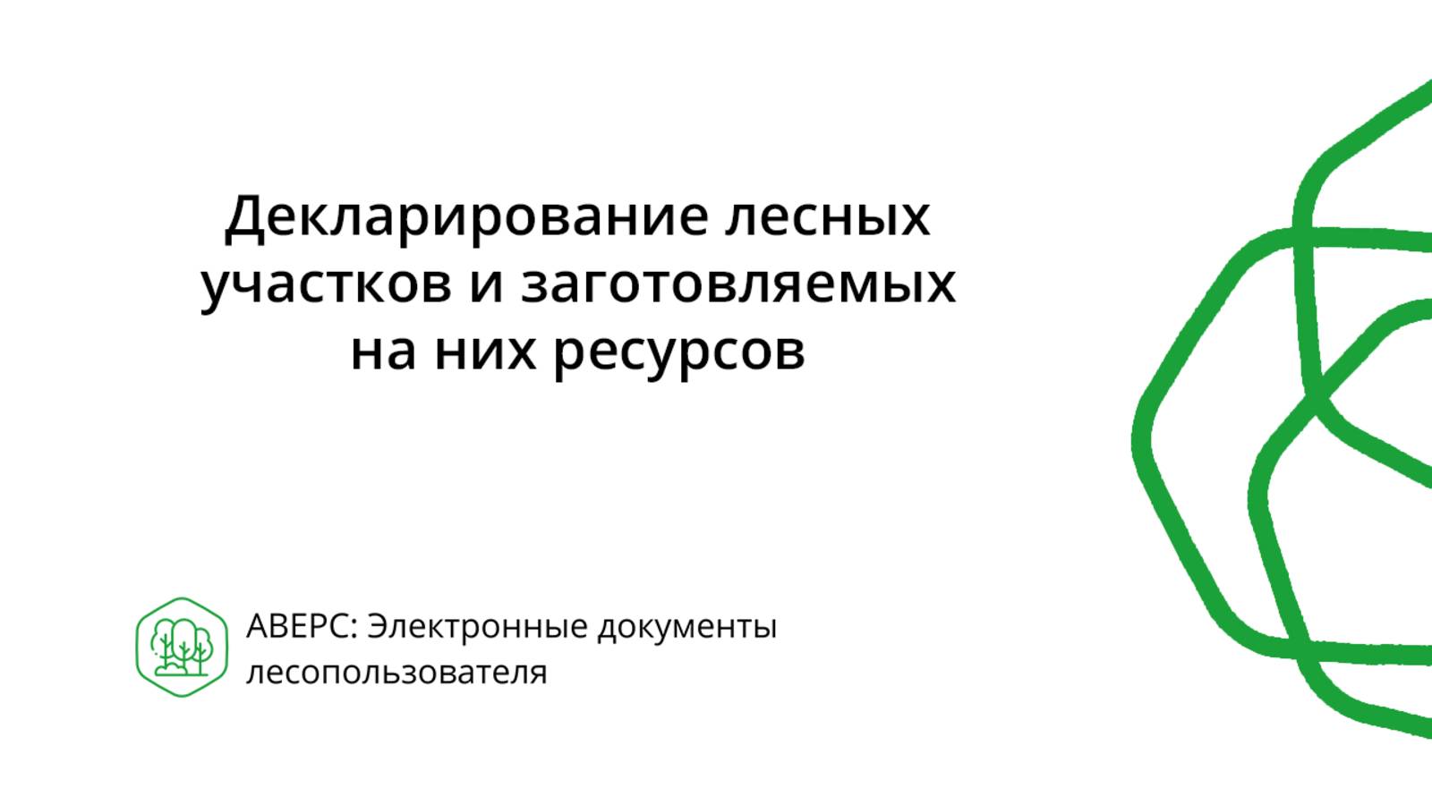 Декларирование лесных участков и заготовляемых на них ресурсов