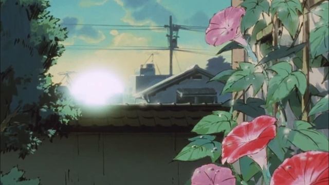 morning flowers