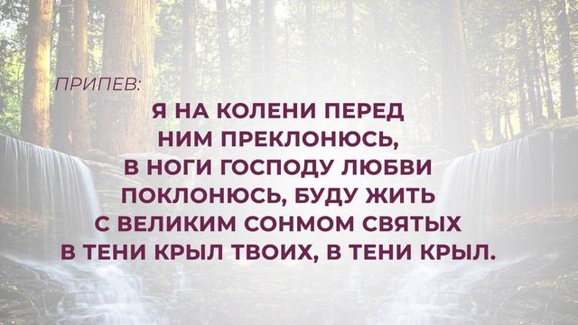 256. В тени крыл Твоих, Господь