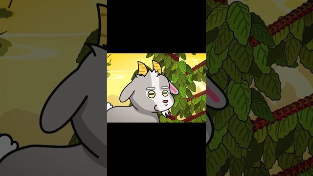 The Origin of coffee. Full video in comments