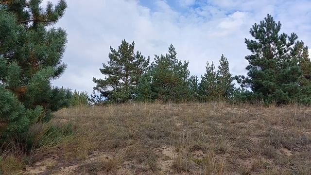 Грехи Соломона _ Грехи Современной Церкви!         (архив)