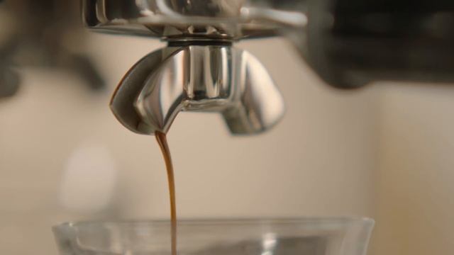The Duo-Temp™ Pro | How to make the perfect third wave latte at home | Breville AU