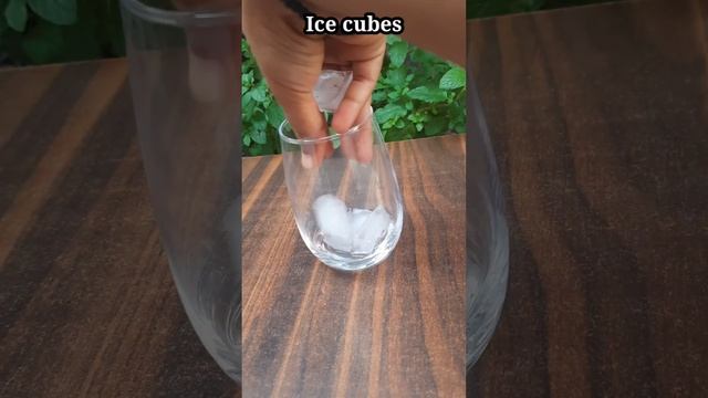 Watermelon + coconut water summer refreshing drink // watermelon drink #drink #refreshing #summer