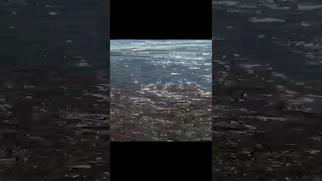 video-b5efc98454d606fe3a0dfa5545b01818-V.mp4