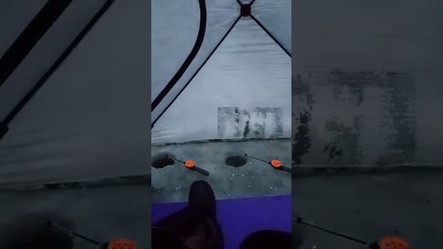 Рыбалка, Чаны