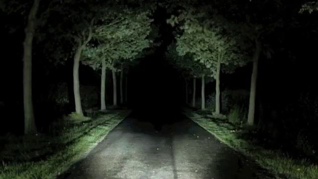 HID Torch 3500 Lumens XF40