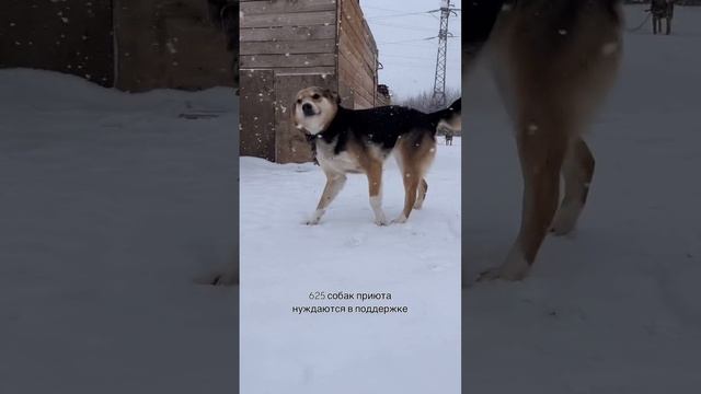 Нужна помощь