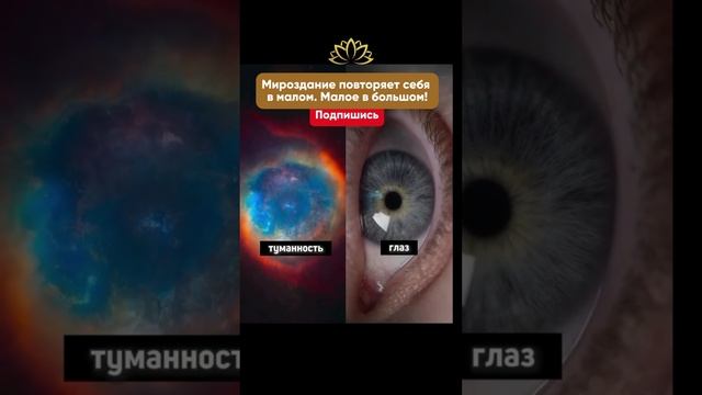 Все повторяет себя!
