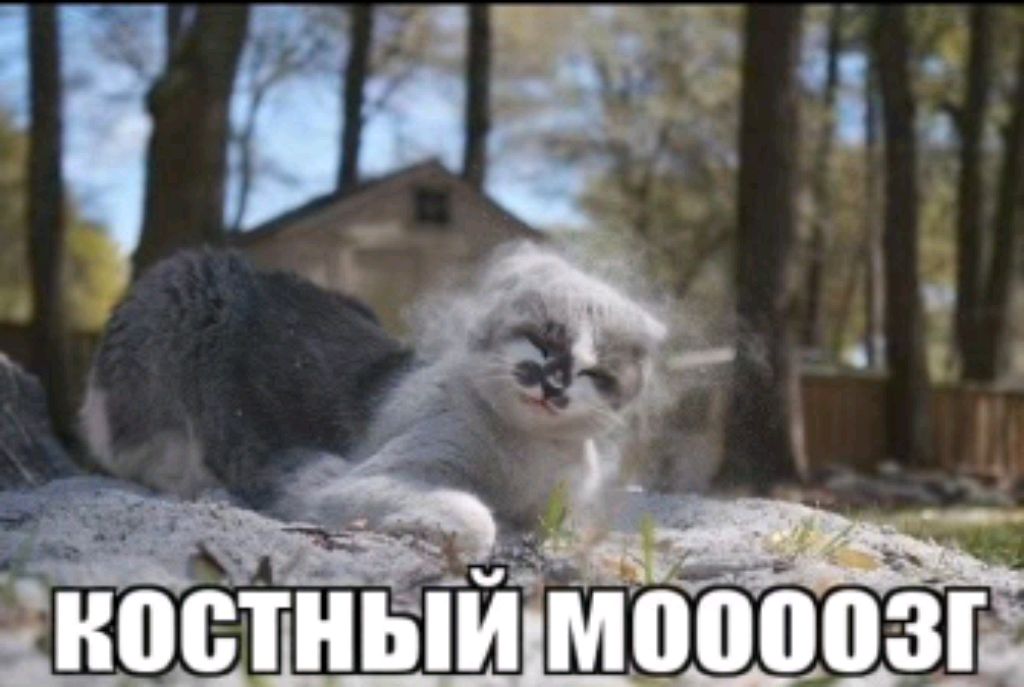костный мозг