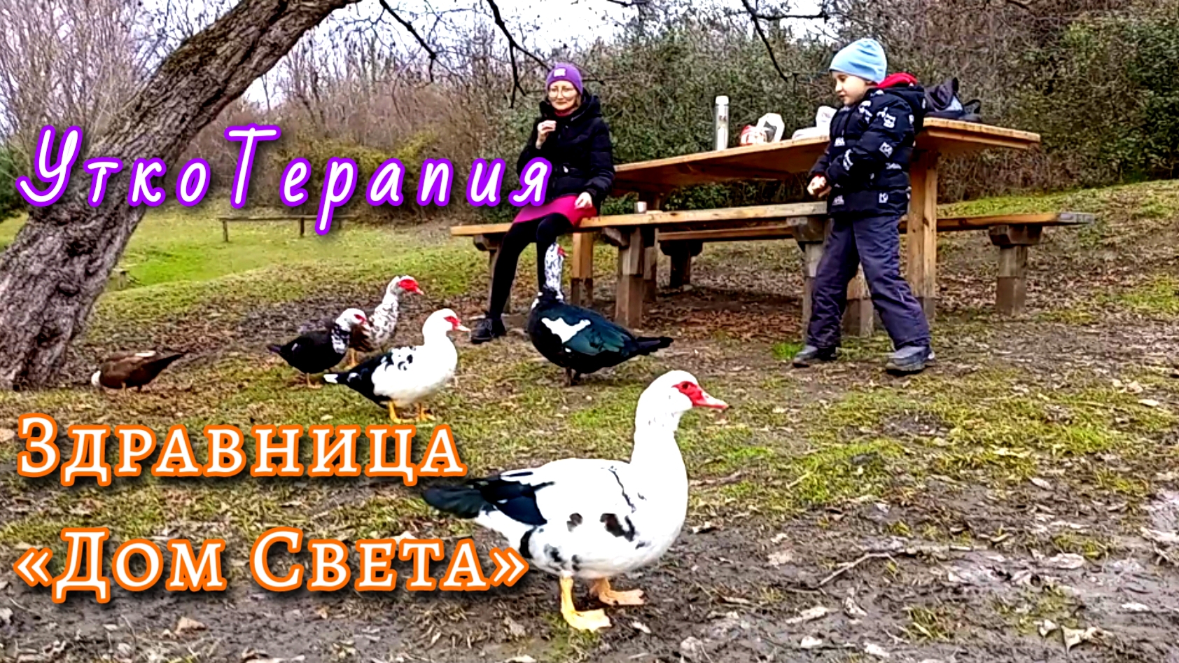 УткоТерапия в Здравнице «Дом Света» на исцеление природой и любовью!