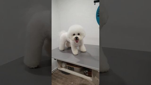 1000014979.mp4