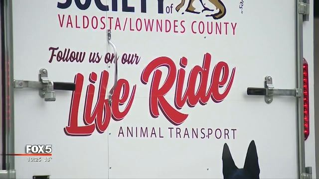 700 dogs removed from Georgia breeder's property