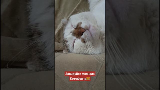 Юмор