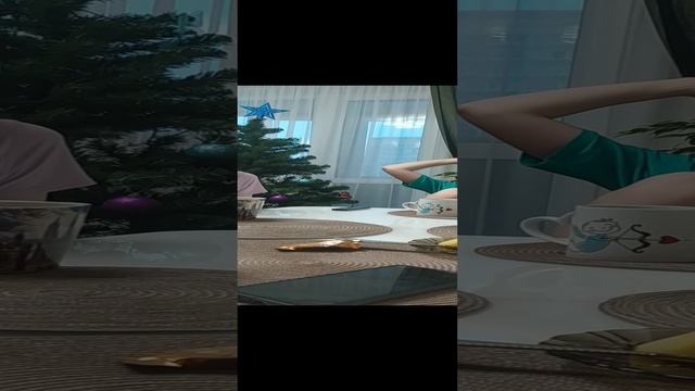 VID_20241226_145629.mp4